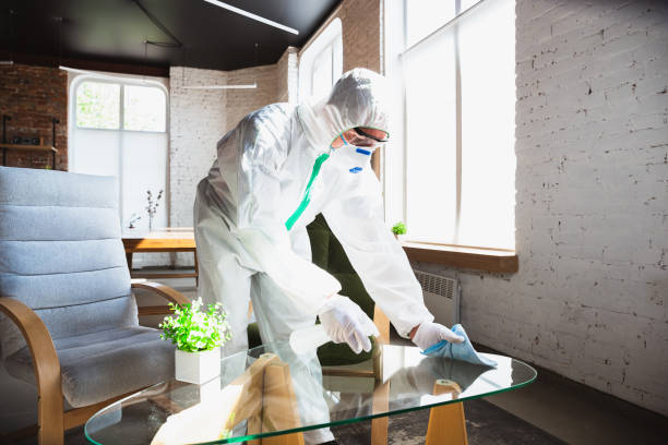 Best Mold Remediation for Healthcare Facilities  in Mountain View Acres, CA